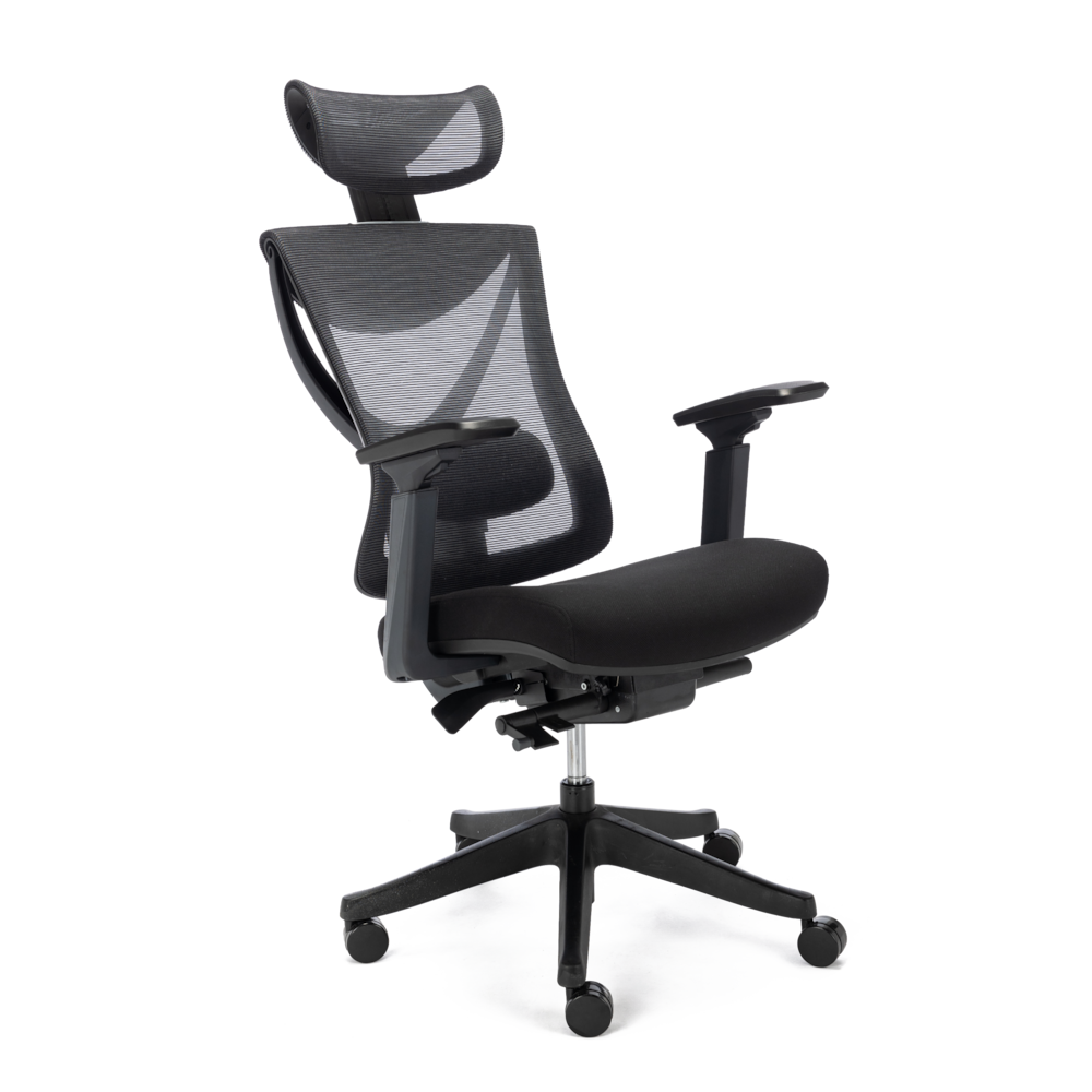 Ergonomic Office Chair with 5 Gears Lumbar Support_4Dock